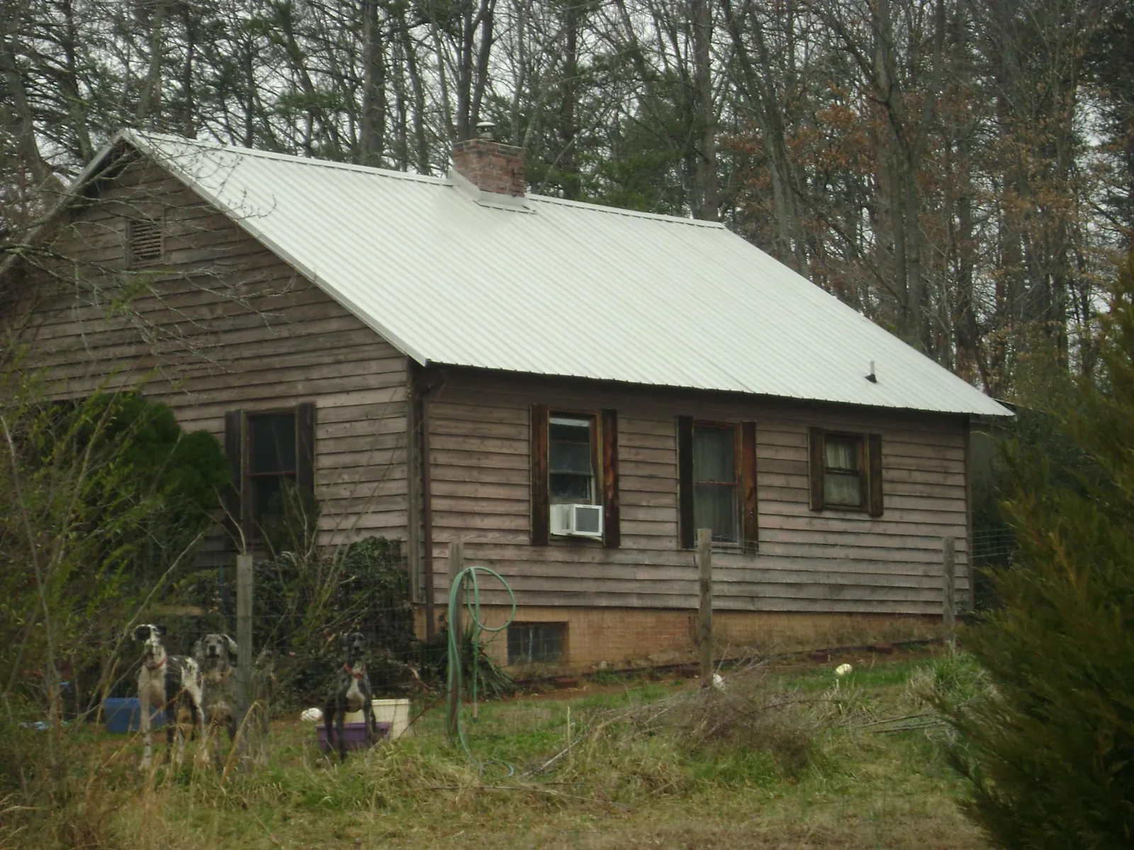 White metal roof on an old wood sided farmhouse, from a Asphalt Shingle Roof Repair job in North Plains